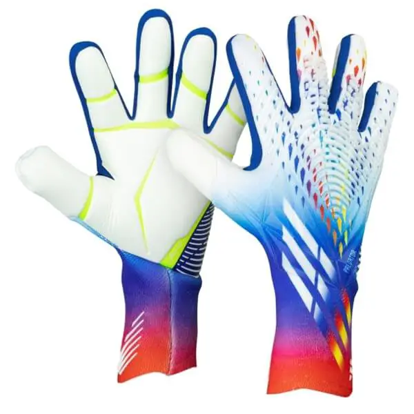 What Gloves Do Professional Goalkeepers Wear - Adidas Predator Pro multi colour